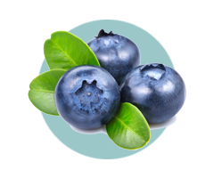 Bilberry